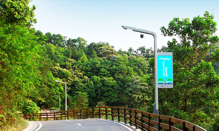 Smart Pole