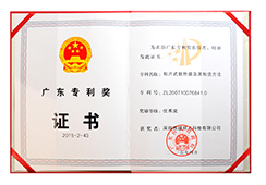 Guangdong Patent Award